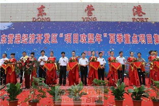 東營(yíng)新時(shí)代慶典策劃圖冊(cè) 典藏黃河入海口的璀璨時(shí)刻