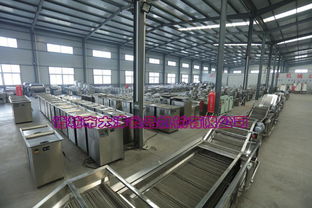 新一代雞翅與雞脯肉上糠設(shè)備的維護(hù)與常見計算機(jī)故障排除